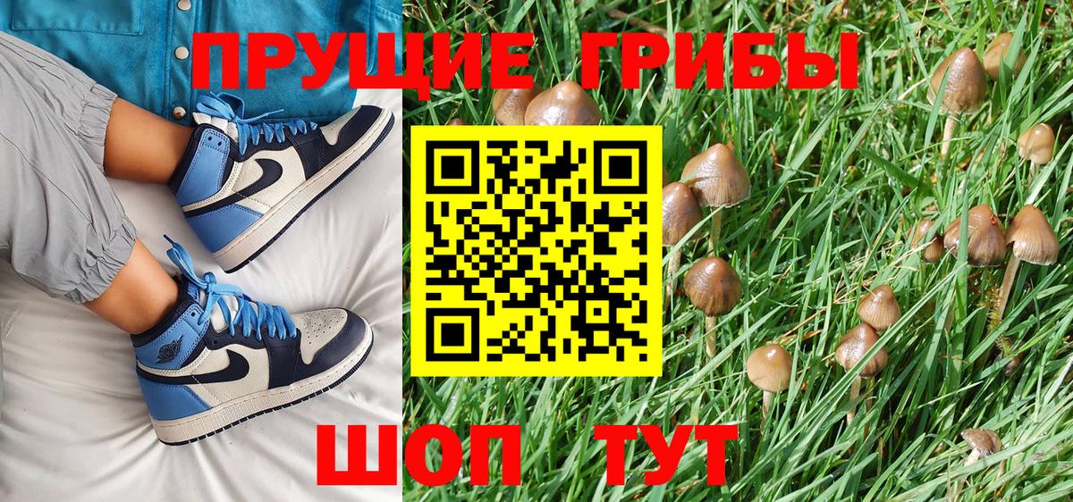 Галлюциногенные грибы MAGIC MUSHROOMS  где купить наркоту  Электросталь  Вход с VPN 